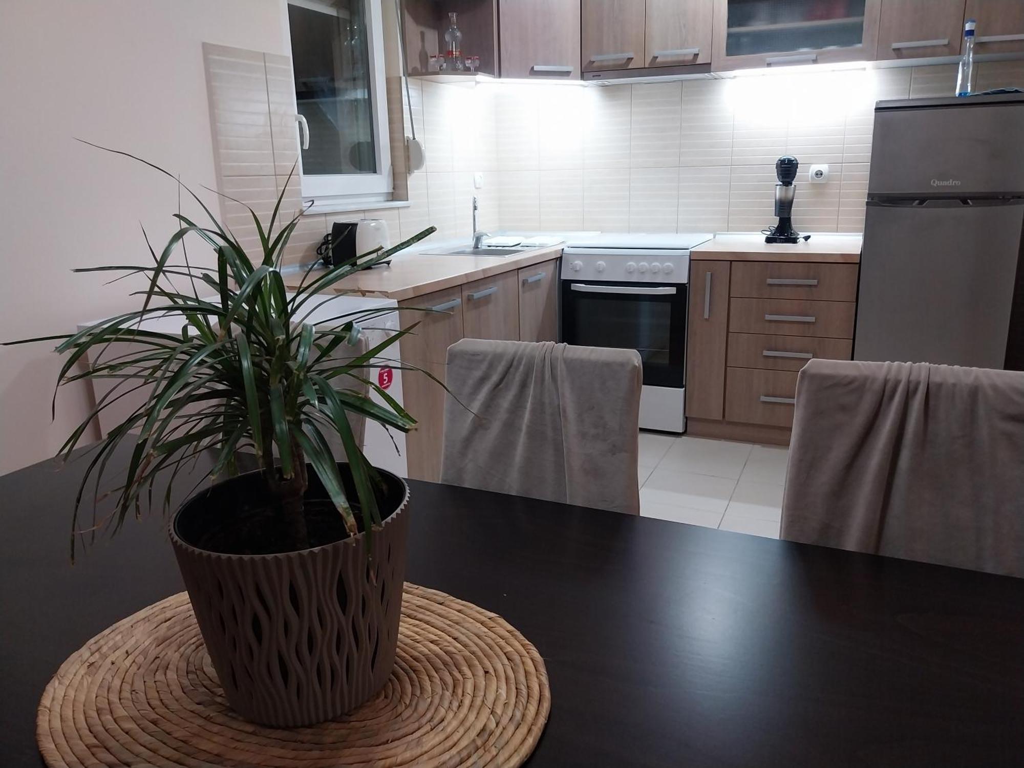 Sorin Apartment